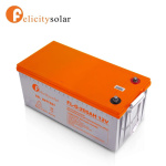 Felicity 220Ah 12V Dry Gel Battery
